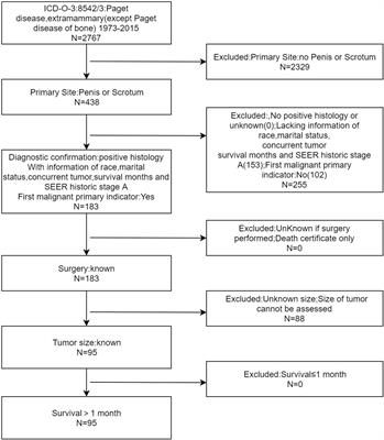 Nomograms for predicting the prognosis of patients with penoscrotal extramammary Paget’s disease: A retrospective study in the SEER database and two medical centers